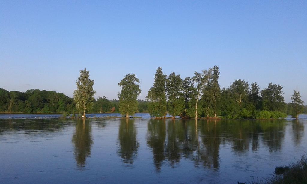 La Chaumiere Panzió Ousson-sur-Loire Kültér fotó