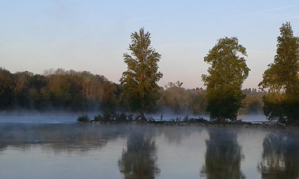 La Chaumiere Panzió Ousson-sur-Loire Kültér fotó